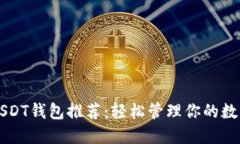 十大USDT钱包推荐：轻松管理你的数字