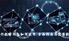 央行数字钱包如何使用：全面指南与实