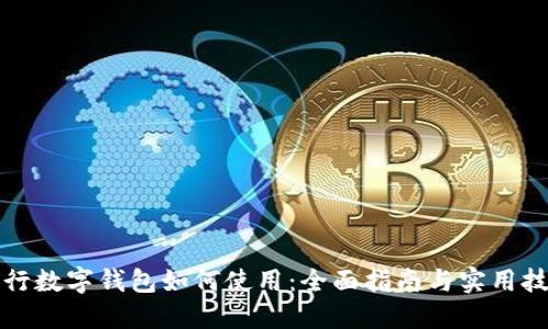 央行数字钱包如何使用:全面指南与实用技巧