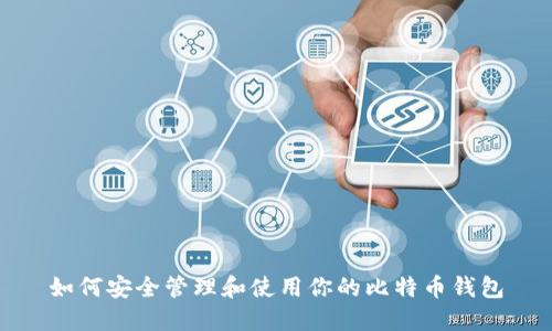 如何安全管理和使用你的比特币钱包