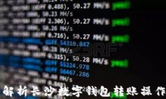 深入解析长沙数字钱包转账操作指南