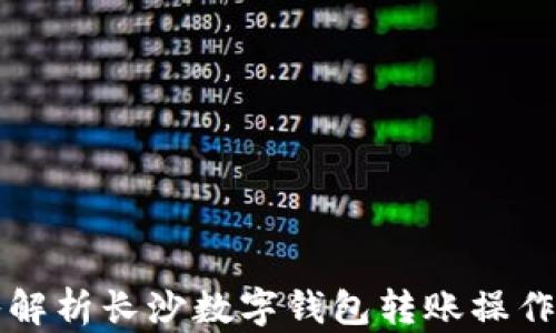 深入解析长沙数字钱包转账操作指南