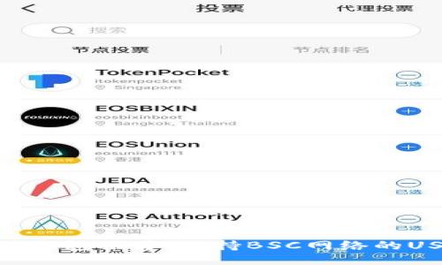 最佳钱包推荐:支持BSC网络的USDT