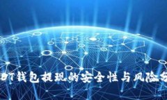 USDT钱包提现的安全性与风险分析