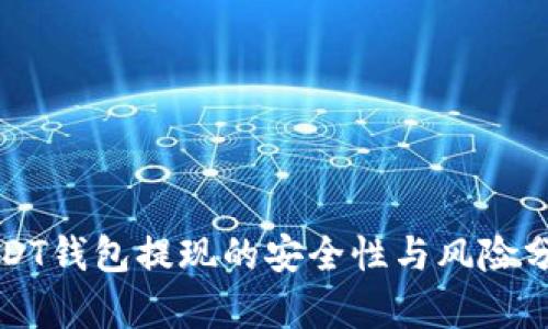 USDT钱包提现的安全性与风险分析