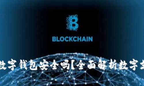 工商银行数字钱包安全吗?全面解析数字支付安全性