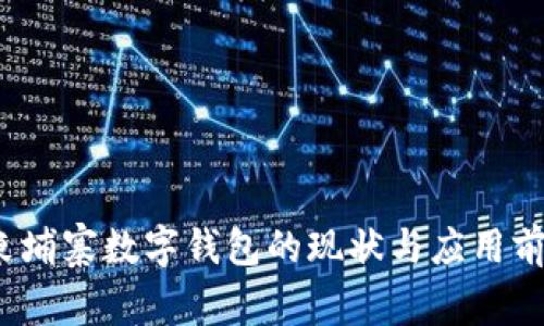 柬埔寨数字钱包的现状与应用前景