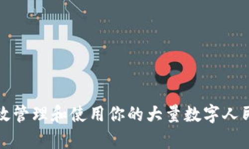 如何有效管理和使用你的大量数字人民币钱包