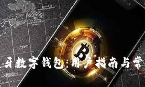 如何开通蓝牙数字钱包:用户指南与常见问题解答