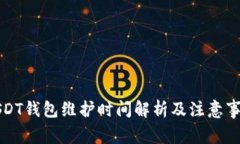 USDT钱包维护时间解析及注意事项