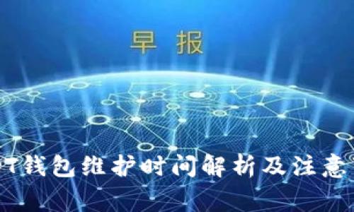 USDT钱包维护时间解析及注意事项