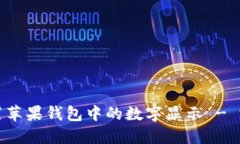 如何设置苹果钱包中的数字显示 - 完全