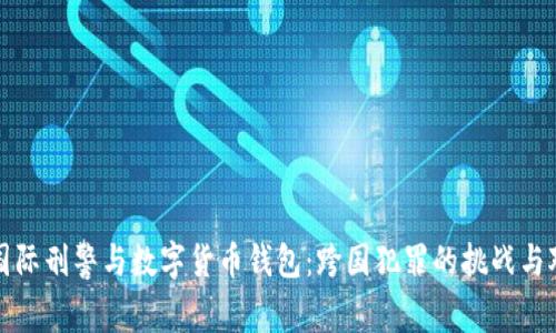 : 国际刑警与数字货币钱包:跨国犯罪的挑战与对策