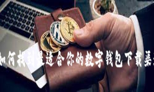 如何找到最适合你的数字钱包下载渠道