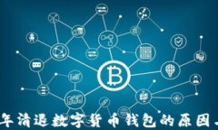 2017年清退数字货币钱包的原因与影响
