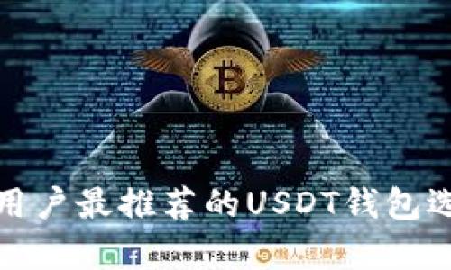 : 美国用户最推荐的USDT钱包选择解析