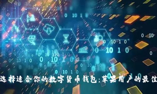 如何选择适合你的数字货币钱包:苹果用户的最佳选择