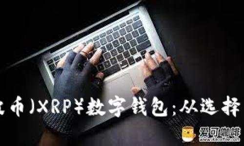 如何安全地使用瑞波币(XRP)数字钱包:从选择到存储的全方位指南