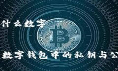 钱包钥匙是指什么数字wallet-key    彻底