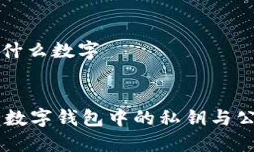 钱包钥匙是指什么数字
wallet-key
彻底理解数字钱包中的私钥与公钥的关键角色