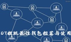 : USDT提现最佳钱包推荐与使用指南