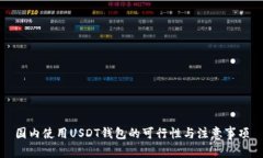 国内使用USDT钱包的可行性与注意事项