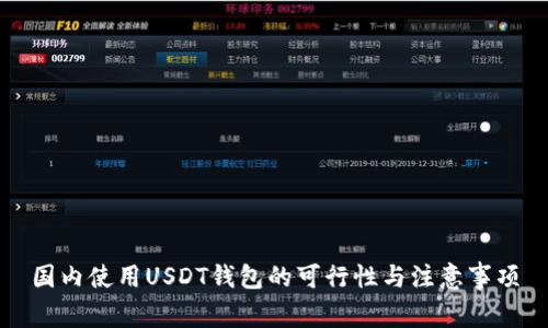 国内使用USDT钱包的可行性与注意事项