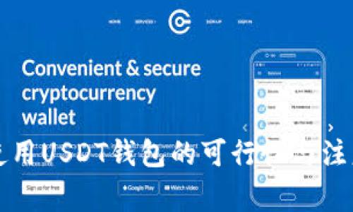 国内使用USDT钱包的可行性与注意事项