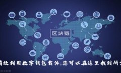 如何有效利用数字钱包载体：您可以在