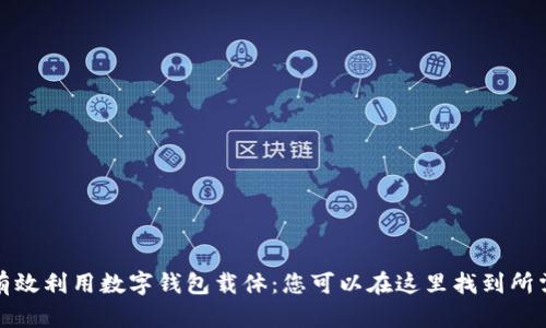 如何有效利用数字钱包载体:您可以在这里找到所需资源