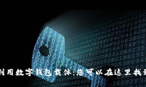 如何有效利用数字钱包载体:您可以在这里找到所需资源