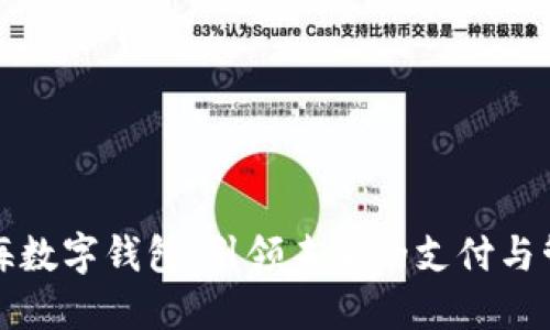 数字蓝海数字钱包:引领未来的支付与管理方式