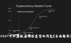 USDT可以存放在哪些类型的钱包？全面