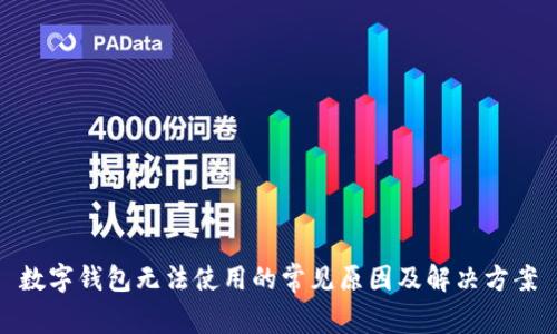 数字钱包无法使用的常见原因及解决方案