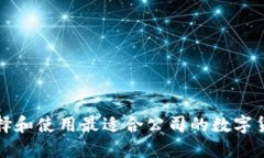如何选择和使用最适合公司的数字货币
