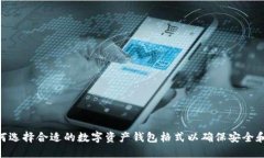 : 如何选择合适的数字资产钱包格式以