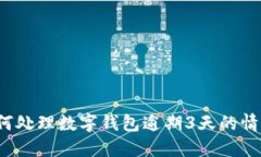 如何处理数字钱包逾期3天的情况？