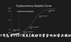 TP钱包中USDT消失？找回你资金的秘密大