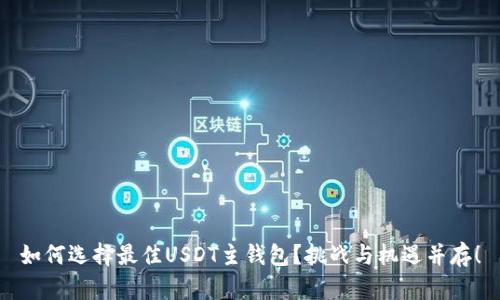 如何选择最佳USDT主钱包？挑战与机遇并存！