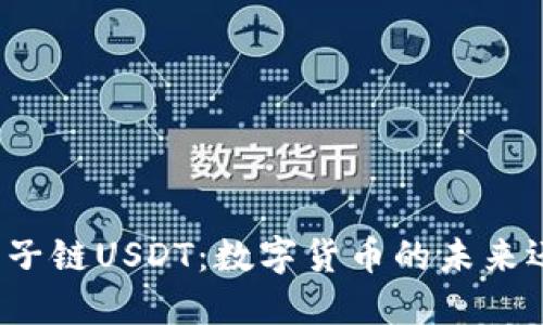 波宝钱包子链USDT：数字货币的未来还是泡沫？