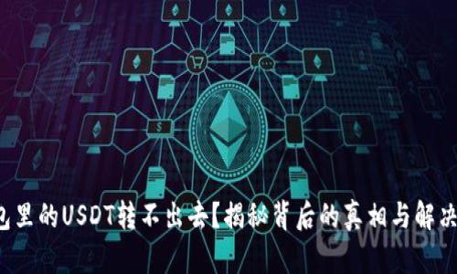 冷钱包里的USDT转不出去？揭秘背后的真相与解决方案！