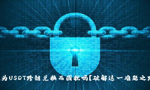 你还在为USDT跨链兑换而困扰吗？破解这一难题之路在此！