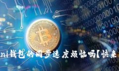 你还在为USDT Omni钱包的同步速度烦恼吗