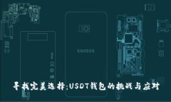 寻找完美选择：USDT钱包的挑战与应对