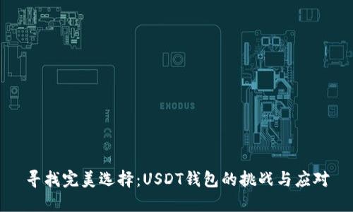 寻找完美选择：USDT钱包的挑战与应对