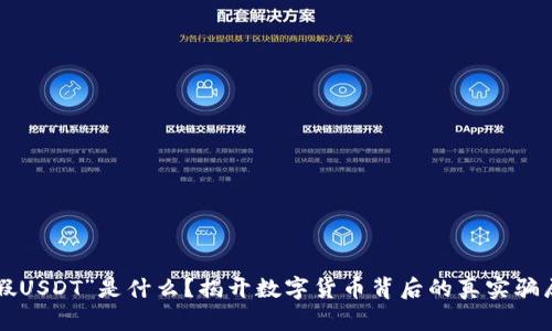“假USDT”是什么？揭开数字货币背后的真实骗局！