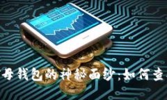 揭开USDT母钱包的神秘面纱：如何查找