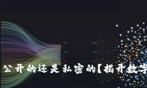 USDT钱包交易到底是公开的还是私密的？揭开数字货币交易的神秘面纱
