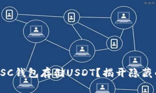 为什么选择BSC钱包存储USDT？揭开隐藏的优势与风险