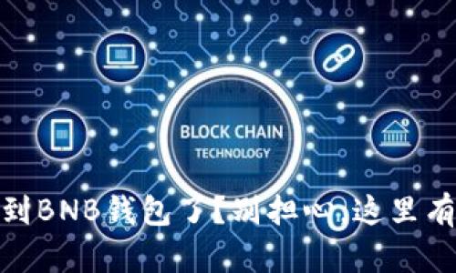 转错USDT到BNB钱包了？别担心，这里有解决方案！